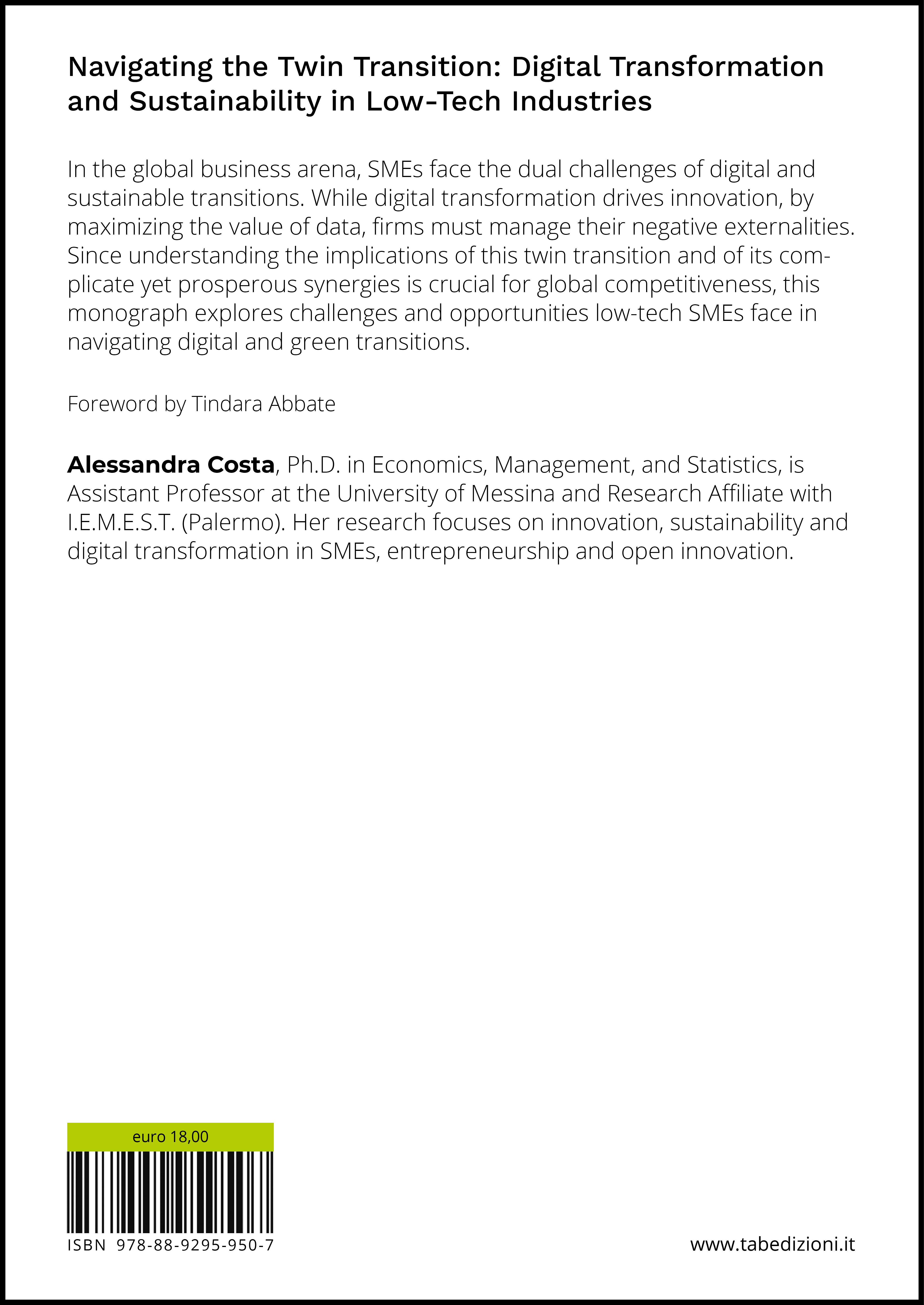 Navigating the Twin Transition: Digital Transformation and Sustainability in Low-Tech Industries