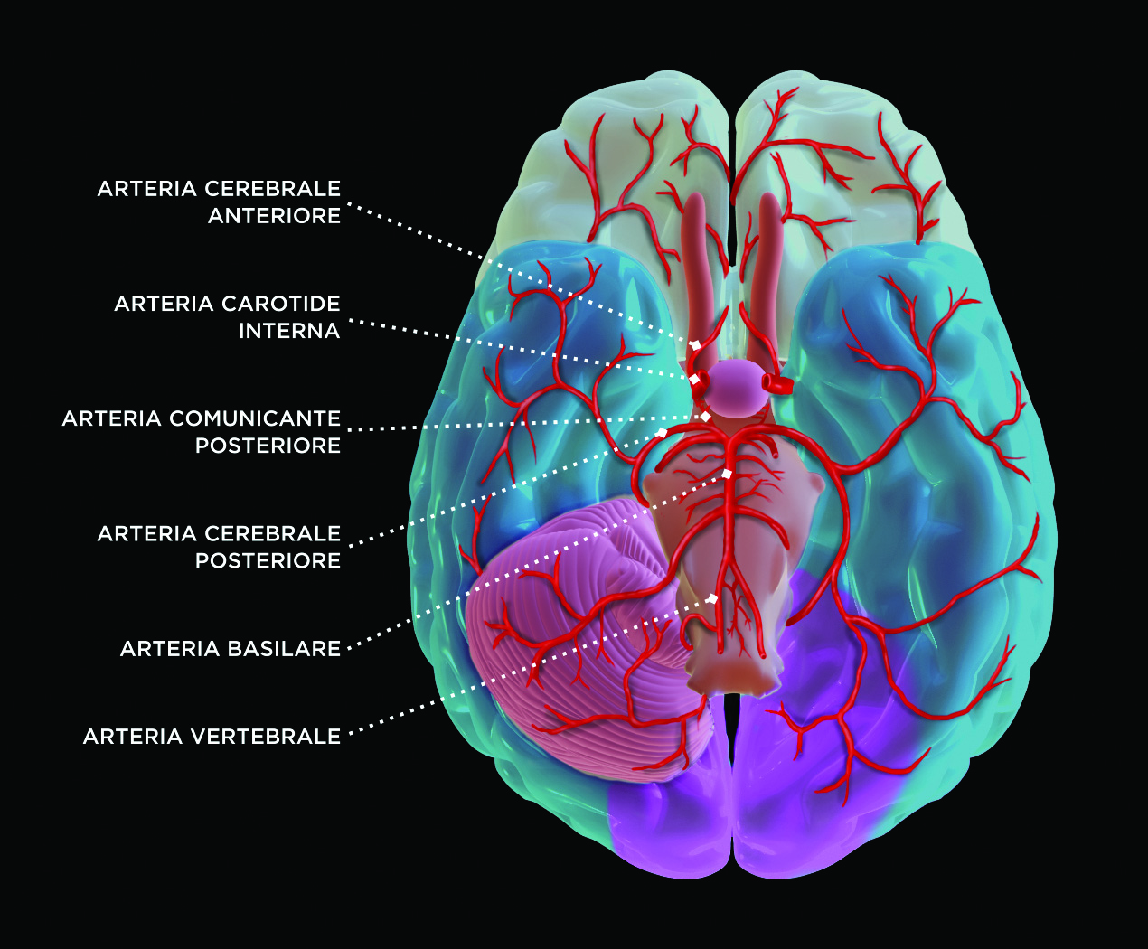 Compendio di neurologia