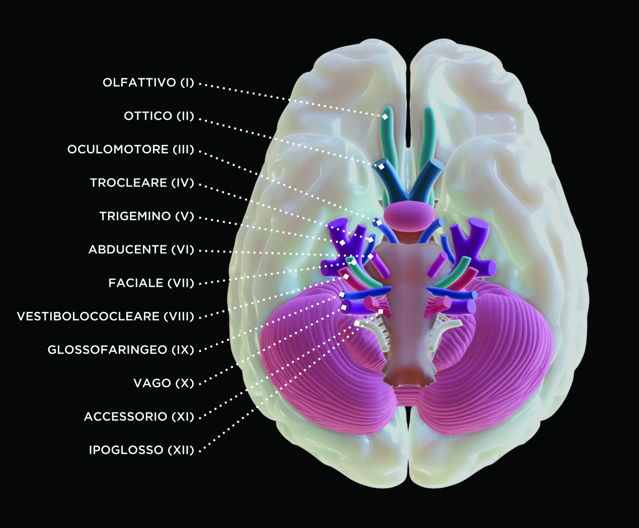 Compendio di neurologia