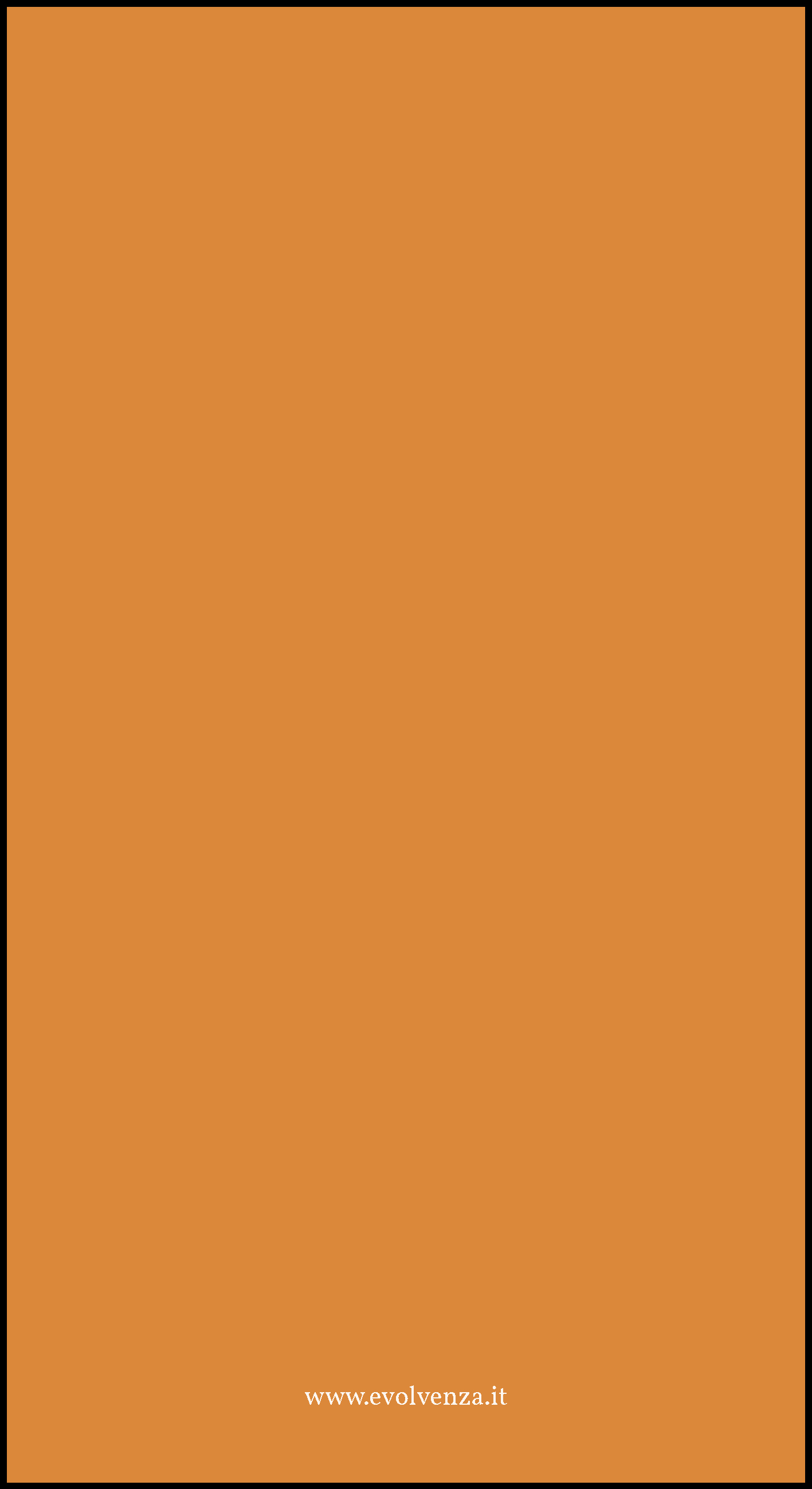 L'evoluzione sulla Terra va dalla pietra al santo