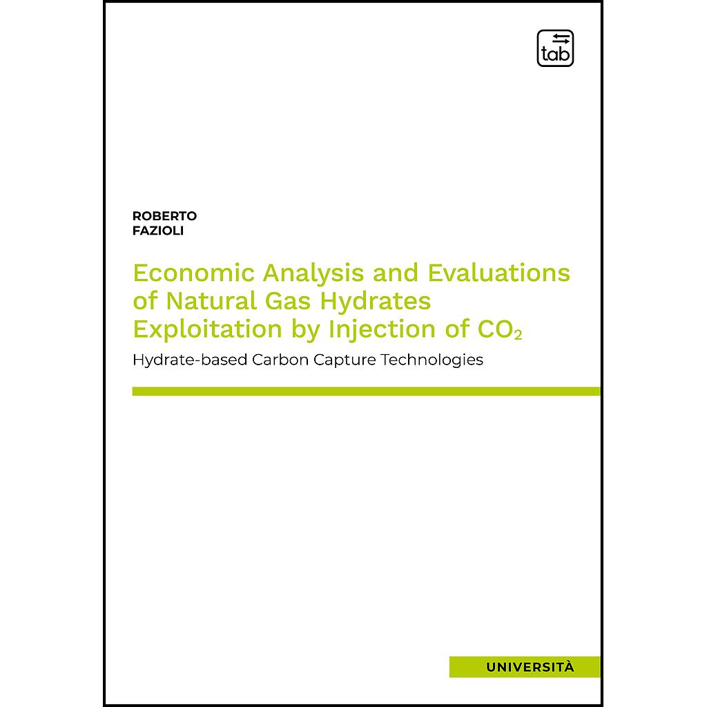 Economic Analysis and Evaluations of Natural Gas Hydrates exploitation by Injection of CO2