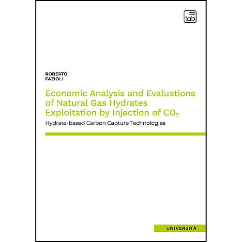 Economic Analysis and Evaluations of Natural Gas Hydrates Exploitation by Injection of CO2