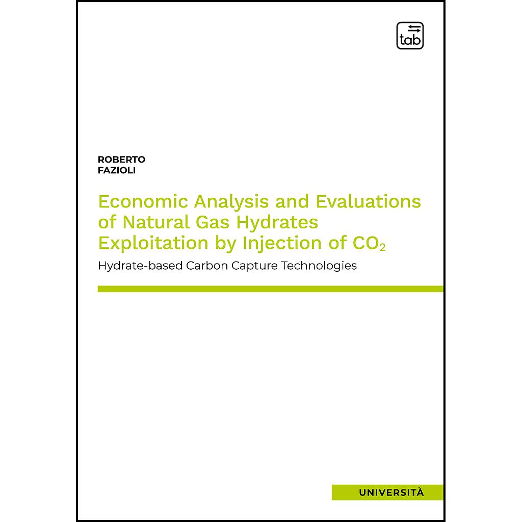 Economic Analysis and Evaluations of Natural Gas Hydrates Exploitation by Injection of CO2