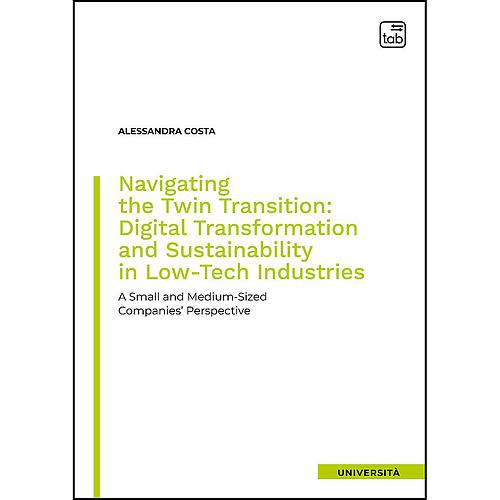 Navigating the Twin Transition: Digital Transformation and Sustainability in Low-Tech Industries
