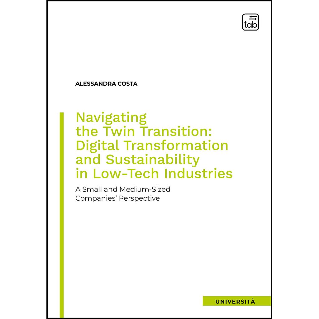 Navigating the Twin Transition: Digital Transformation and Sustainability in Low-Tech Industries