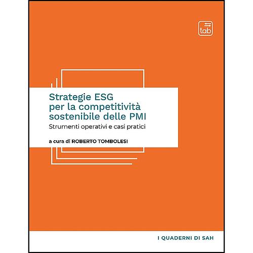 Strategie ESG per la competitività sostenibile delle PMI